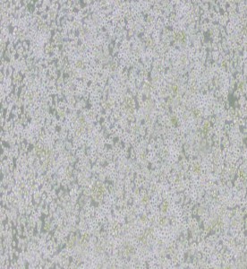 AE-2小鼠雜交瘤細(xì)胞(抗AChE)主圖