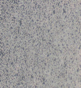 HL-60人原髓細(xì)胞白血病細(xì)胞主圖