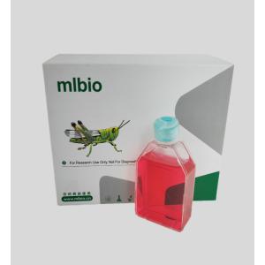 人外周血樹(shù)突狀細(xì)胞(未成熟DC細(xì)胞)主圖