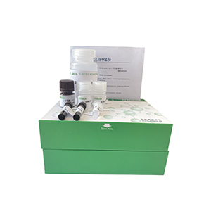 Caspase-3活性測定試劑盒分光法/24樣主圖