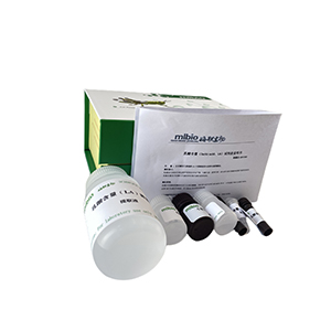 3-磷酸甘油酯酶(GPP)活性試劑盒微板法/48樣主圖