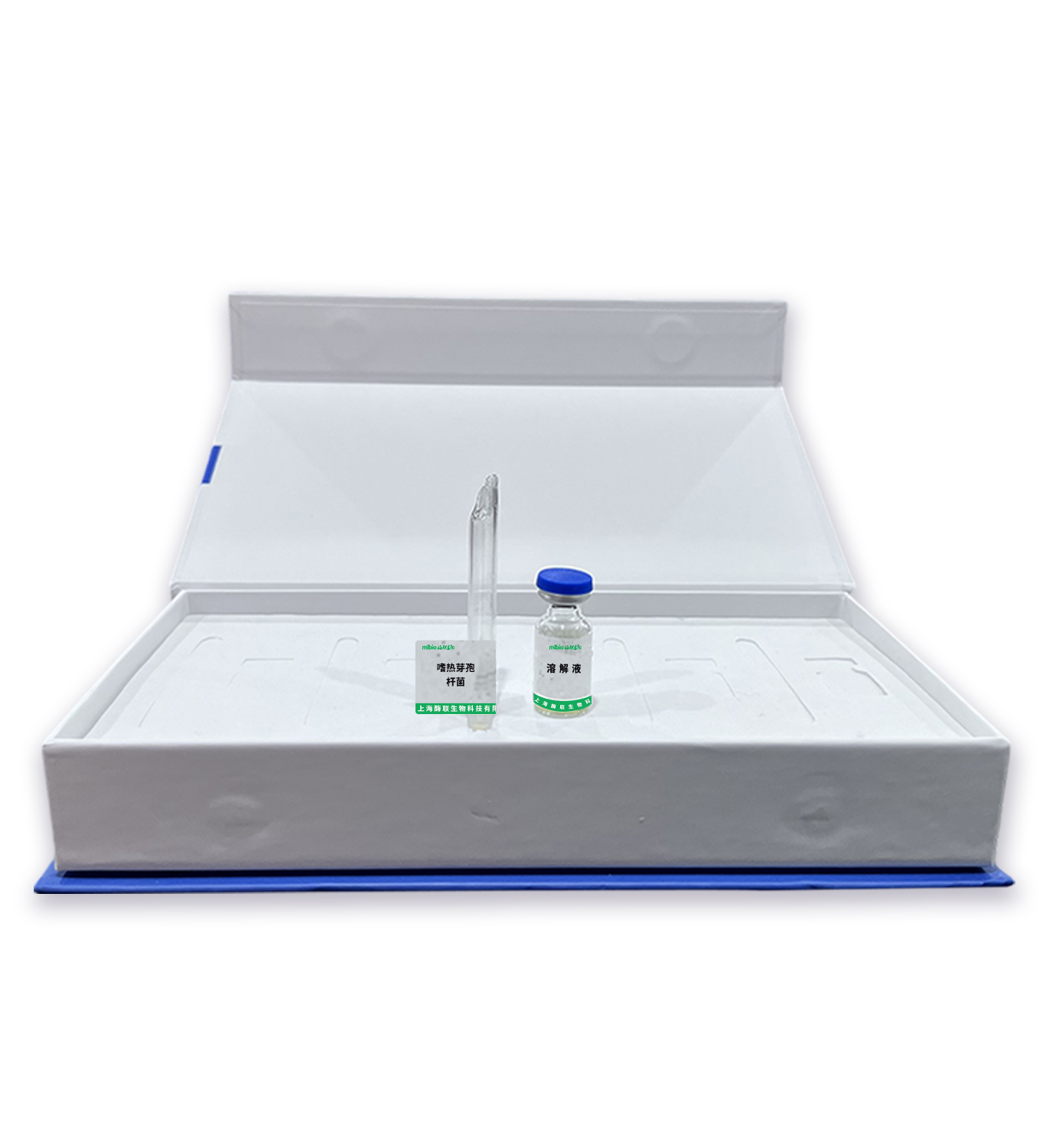 嗜熱芽孢桿菌主圖