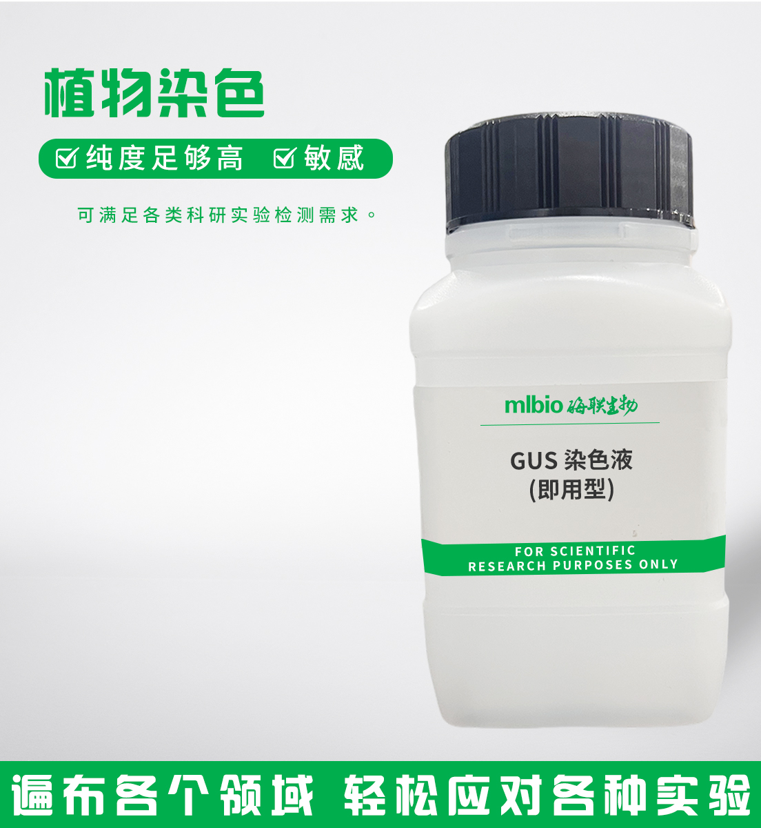 GUS染色液(即用型)主圖