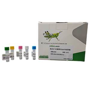 南芥菜花葉病毒探針?lè)╭RT-PCR試劑盒(不含內(nèi)參)主圖