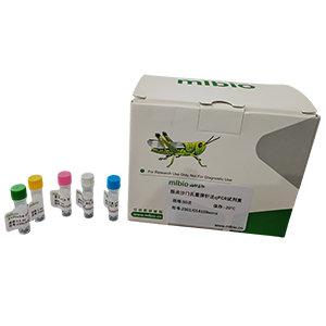 嗜麥芽窄食單胞菌探針法qPCR試劑盒(不含內(nèi)參)主圖