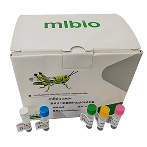 犬瘟熱病毒探針法qRT-PCR試劑盒(不含內(nèi)參)主圖