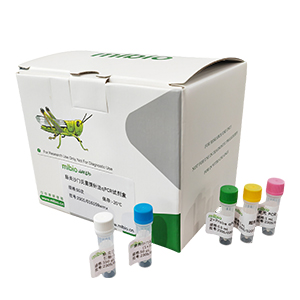 人腺病毒B76型探針法qPCR試劑盒(不含內(nèi)參)主圖