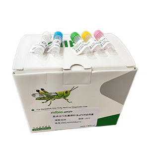 柯薩奇病毒A17型變種探針法qRT-PCR試劑盒(不含內(nèi)參)主圖