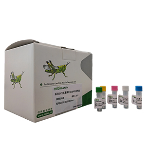 禽腺病毒I群C型血清4型探針?lè)╭PCR試劑盒(不含內(nèi)參)主圖