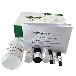 細(xì)胞亞鐵含量試劑盒48樣主圖