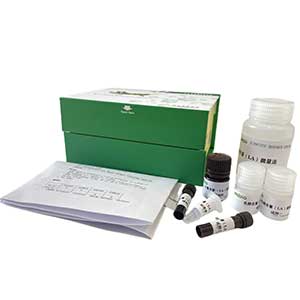 細(xì)胞總鐵含量試劑盒96樣主圖