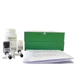 乳酸氧化酶(LOD)活性測(cè)定試劑/分光法主圖