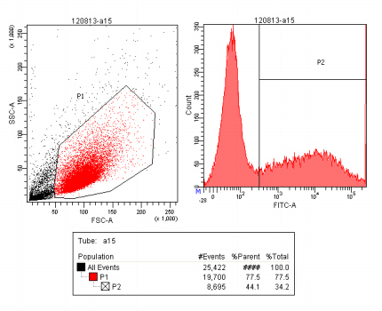流式細(xì)胞分選結(jié)果示意圖