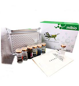 豬促催乳素(PRL)ELISA試劑盒主圖